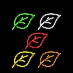 Balíček vzorků kratomu (5 druhů)